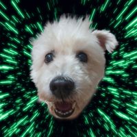 timmyruss
